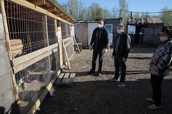 Михаил Романов передал приюту для бездомных животных 100 кг корма